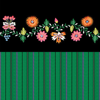 Coleção Viana Viva