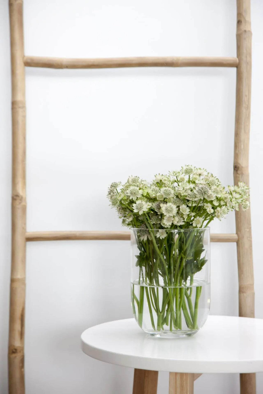 Vaso Essentials Emilia - LethesHome