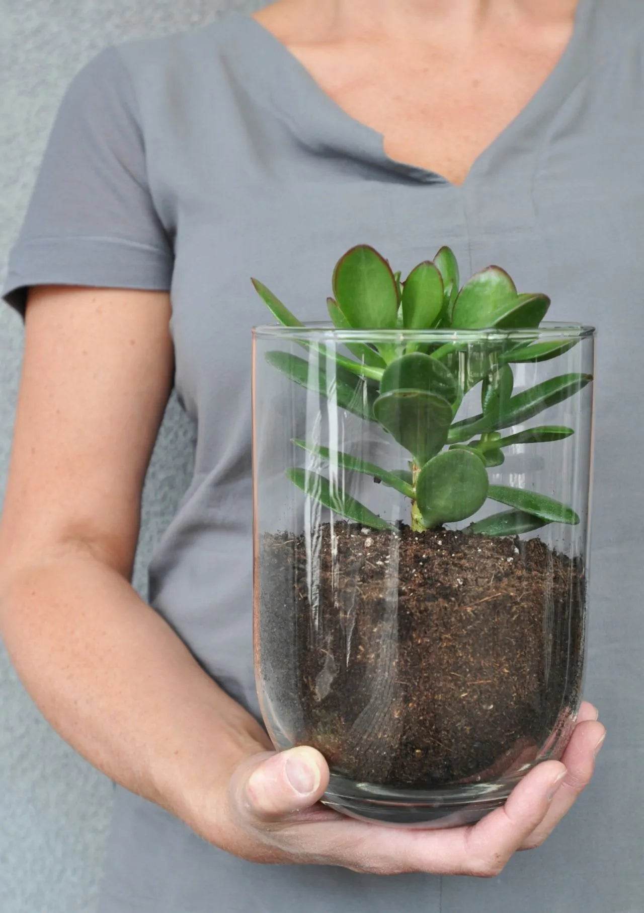 Vaso Essentials Emilia - LethesHome