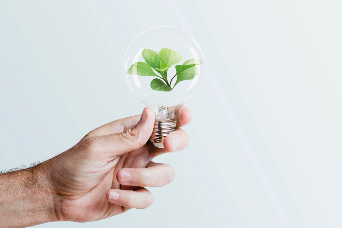 Sustentabilidade e Upcycling - LethesHome